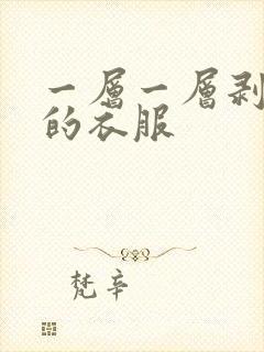 一层一层剥开我的衣服
