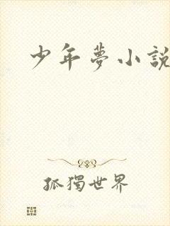 少年梦小说