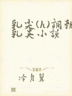 乳尖(h)调教乳夹小说封面