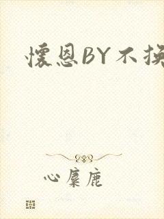 怀恩BY不换