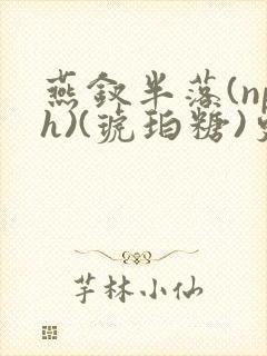 燕钗半落(nph)(琥珀糖)更新