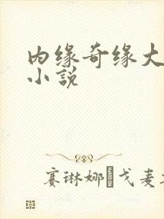 内缘奇缘大团圆小说