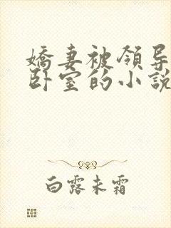 娇妻被领导抱进卧室的小说