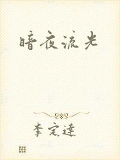 暗夜流光封面