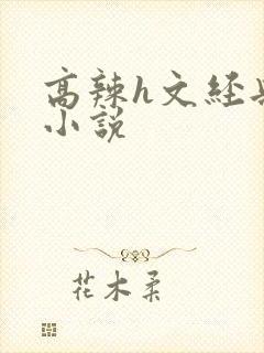 高辣h文经典乱小说