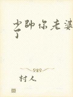 少帅你老婆又跑了