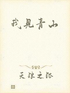 我见青山