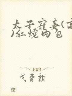 太子宠妾(高肉)红烧肉包