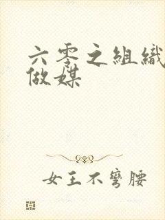 六零之组织给我做媒