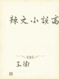 辣文小说高h