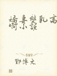 娇妻双乳高耸嗯啊小说