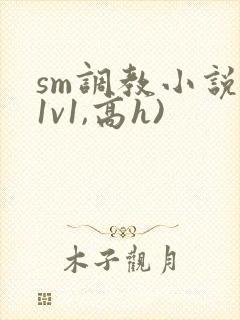 sm调教小说(1v1,高h)