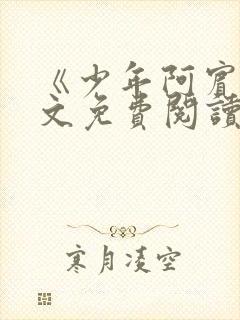 《少年阿宾》全文免费阅读