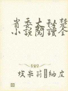 省委大秘楚东恒小说阅读全文封面