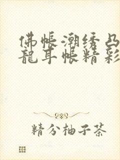 佛帐潮绣凸浮双龙耳帐精彩片段封面