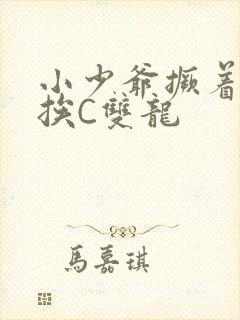 小少爷撅着屁股挨C双龙封面