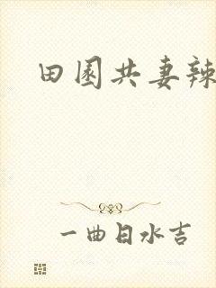 田园共妻辣