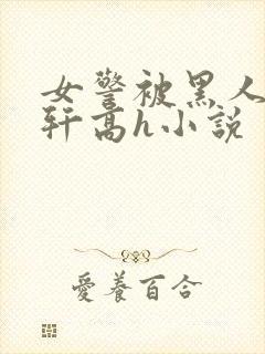 女警被黑人强伦轩高h小说封面