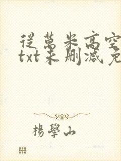 从万米高空降临txt未删减免费下载