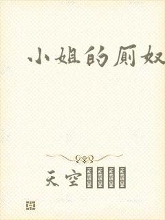 小姐的厕奴封面