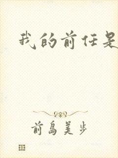 我的前任是极品