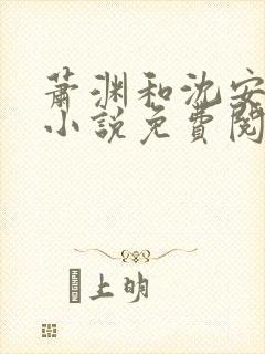 萧渊和沈安安的小说免费阅读封面