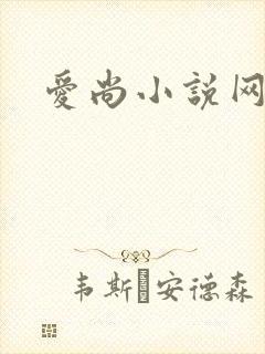 爱尚小说网封面