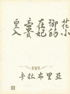 皇帝在御花园进入贵妃的小说