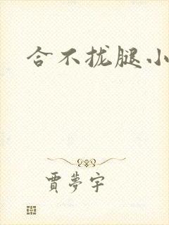 合不拢腿小说