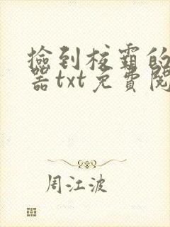 捡到校霸的遥控器txt免费阅读封面