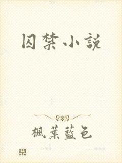 囚禁小说