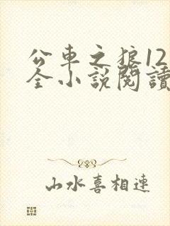 公车之狼12集全小说阅读封面