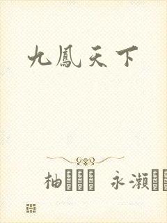 九凤天下封面