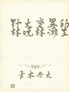 野火变异的父爱林晚林潮生