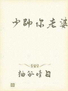 少帅你老婆