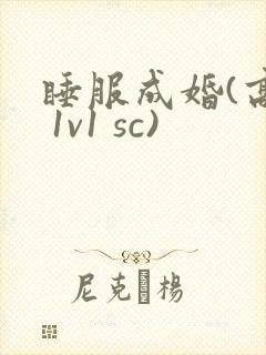 睡服成婚(高h 1v1 sc)