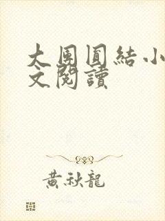 大团圆结小茹全文阅读