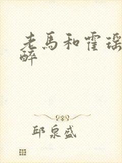 老马和霍瑶瑶喝醉