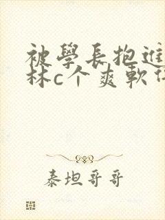 被学长抱进小树林c个爽软件