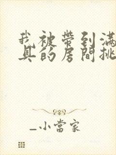 我被带到满是玩具的房间挑调游戏