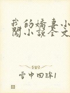 我的娇妻小婉刘闯小说全文阅读封面