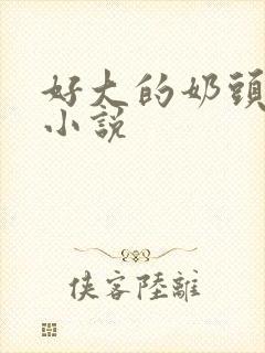 好大的奶头在线小说封面