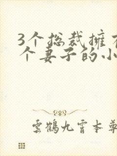 3个总裁拥有一个妻子的小说封面