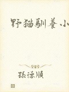 野猫驯养小说