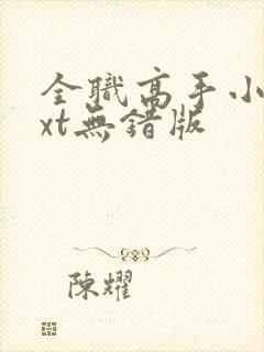 全职高手小说txt无错版