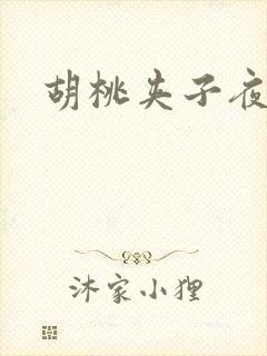 胡桃夹子夜未眠