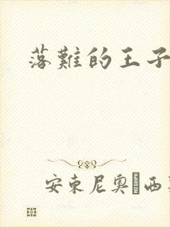 落难的王子封面