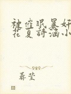 被催眠暴奸的校花夏诗涵小说