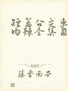 短篇公交车高h肉辣全集目录