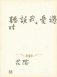 听说我爱过你txt